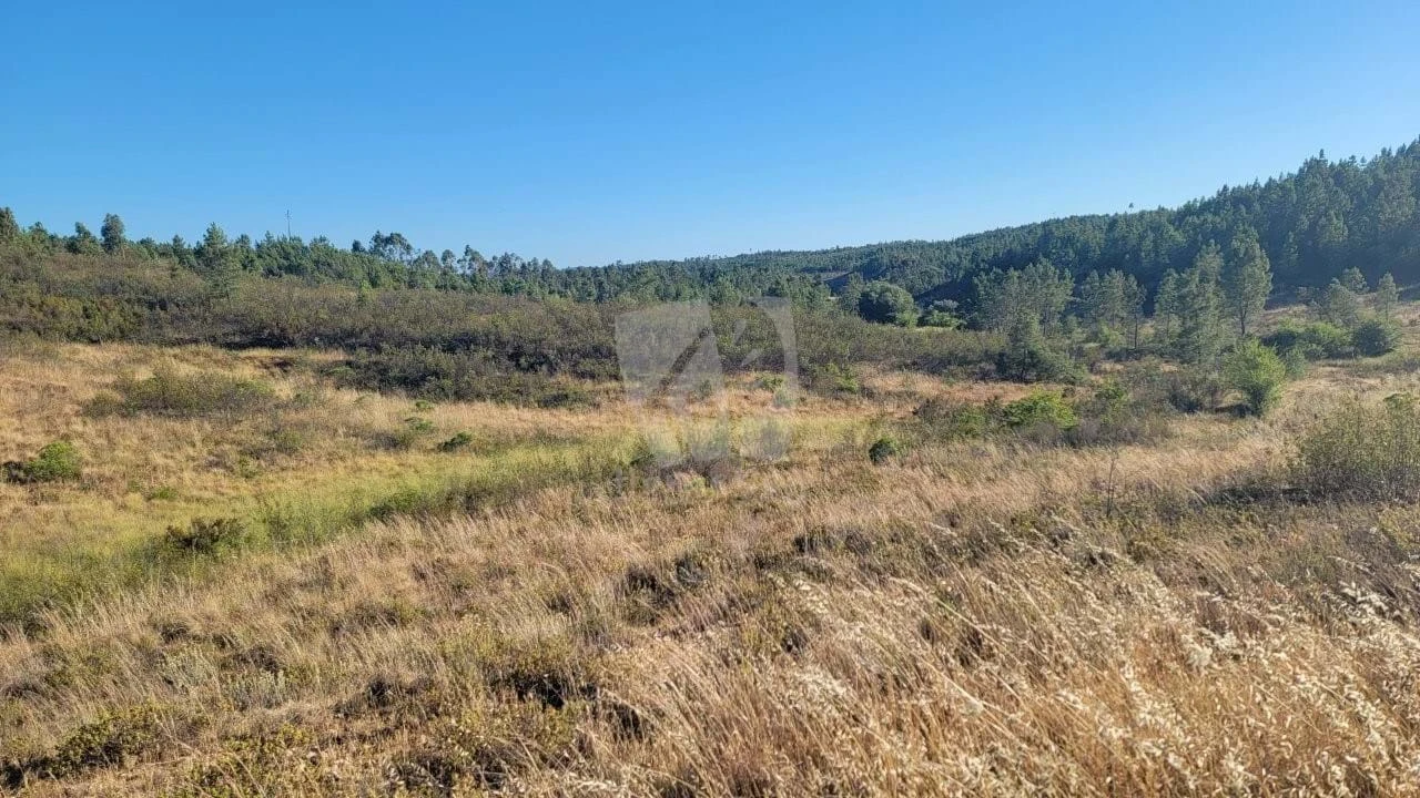 Terreno Agricola ou Rústico para Venda em Sarzedas Foto 29