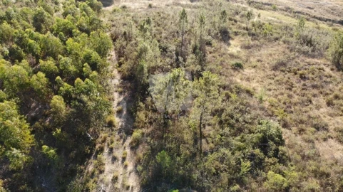 Terreno Agricola ou Rústico para Venda em Sarzedas
