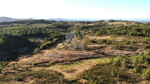 Terreno Agricola ou Rústico para Venda em Sarzedas