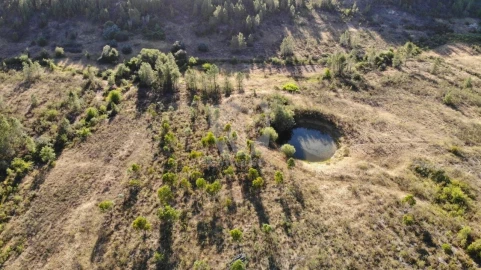 Terreno Agricola ou Rústico para Venda em Sarzedas
