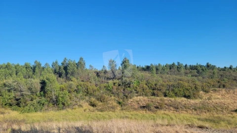 Terreno Agricola ou Rústico para Venda em Sarzedas