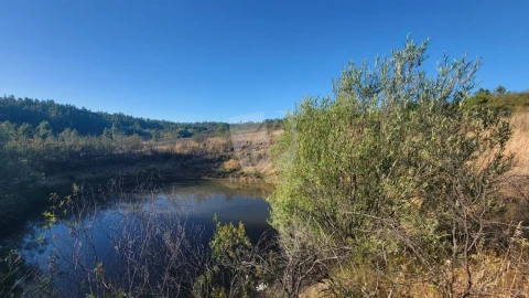 Terreno Agricola ou Rústico para Venda em Sarzedas