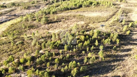 Terreno Agricola ou Rústico para Venda em Sarzedas