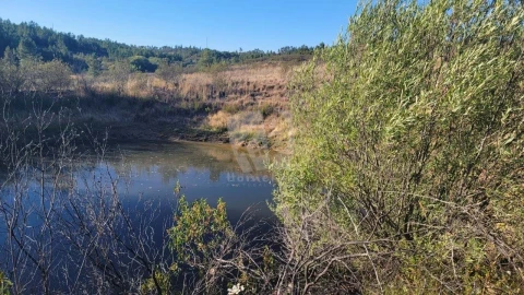 Terreno Agricola ou Rústico para Venda em Sarzedas