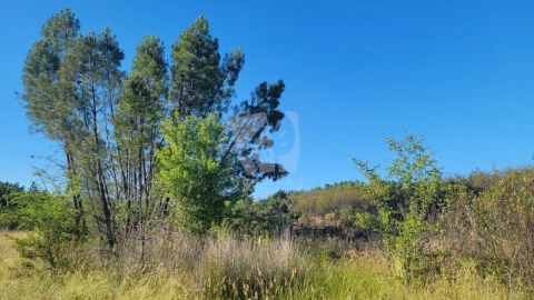 Terreno Agricola ou Rústico para Venda em Sarzedas