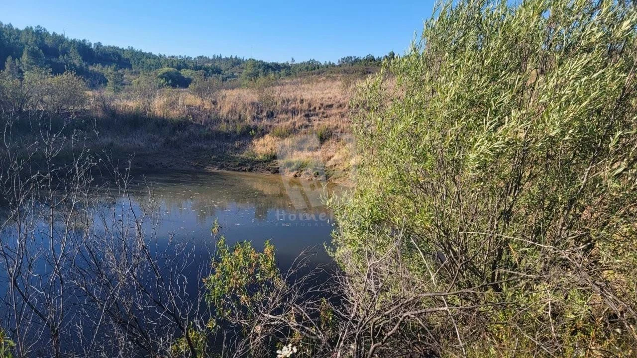 Terreno Agricola ou Rústico para Venda em Sarzedas Foto 33