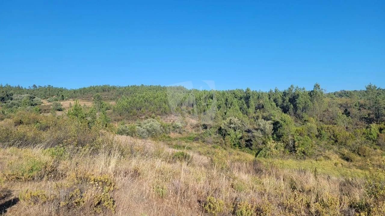 Terreno Agricola ou Rústico para Venda em Sarzedas Foto 30
