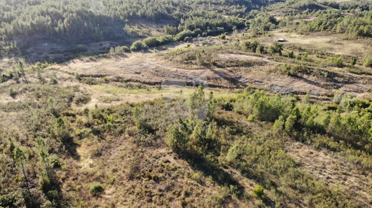 Terreno Agricola ou Rústico para Venda em Sarzedas Foto 4