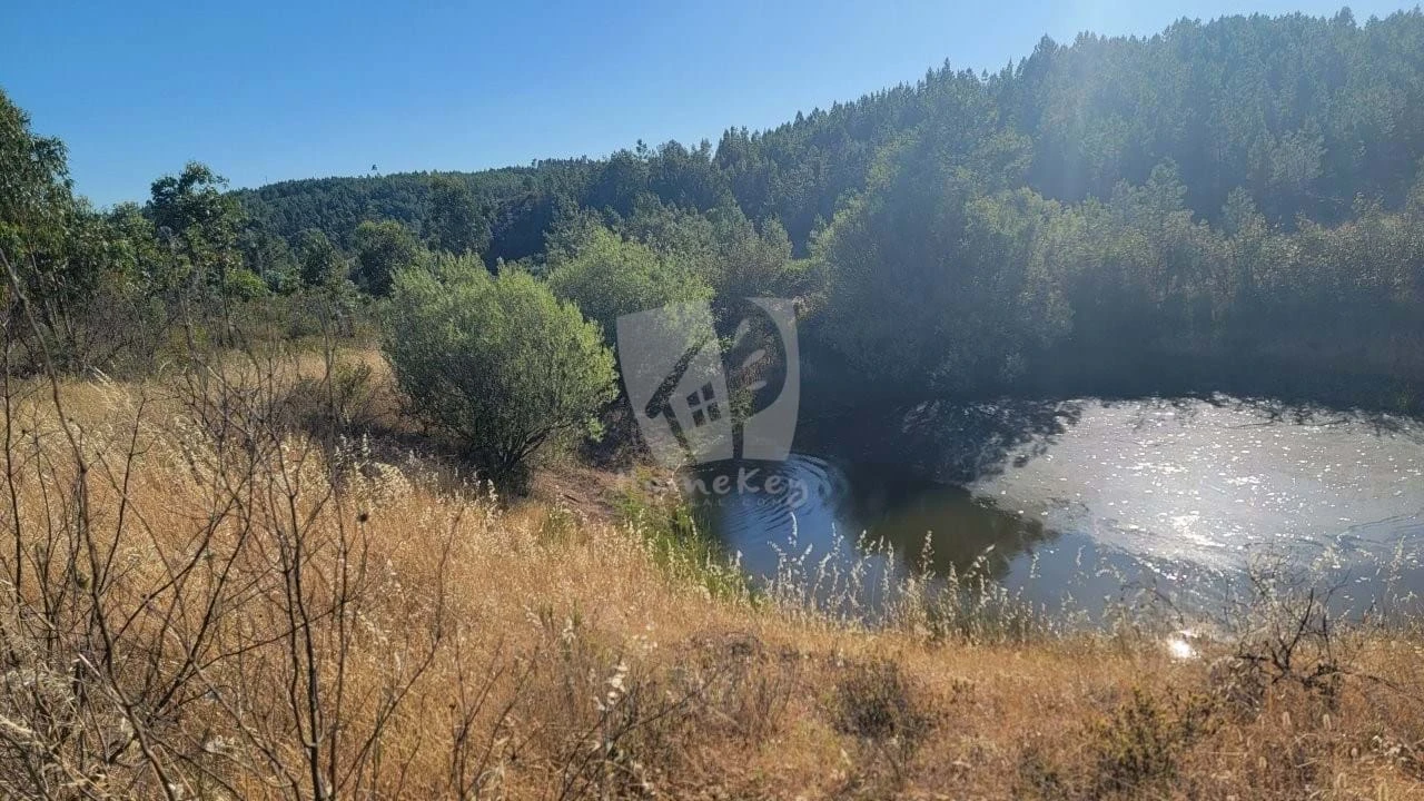 Terreno Agricola ou Rústico para Venda em Sarzedas Foto 15