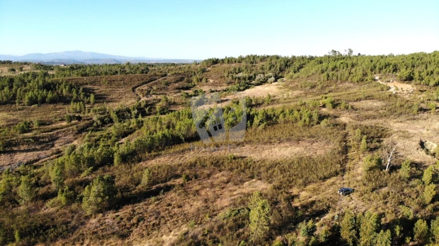 Terreno Agricola ou Rústico para Venda em Sarzedas Foto 6
