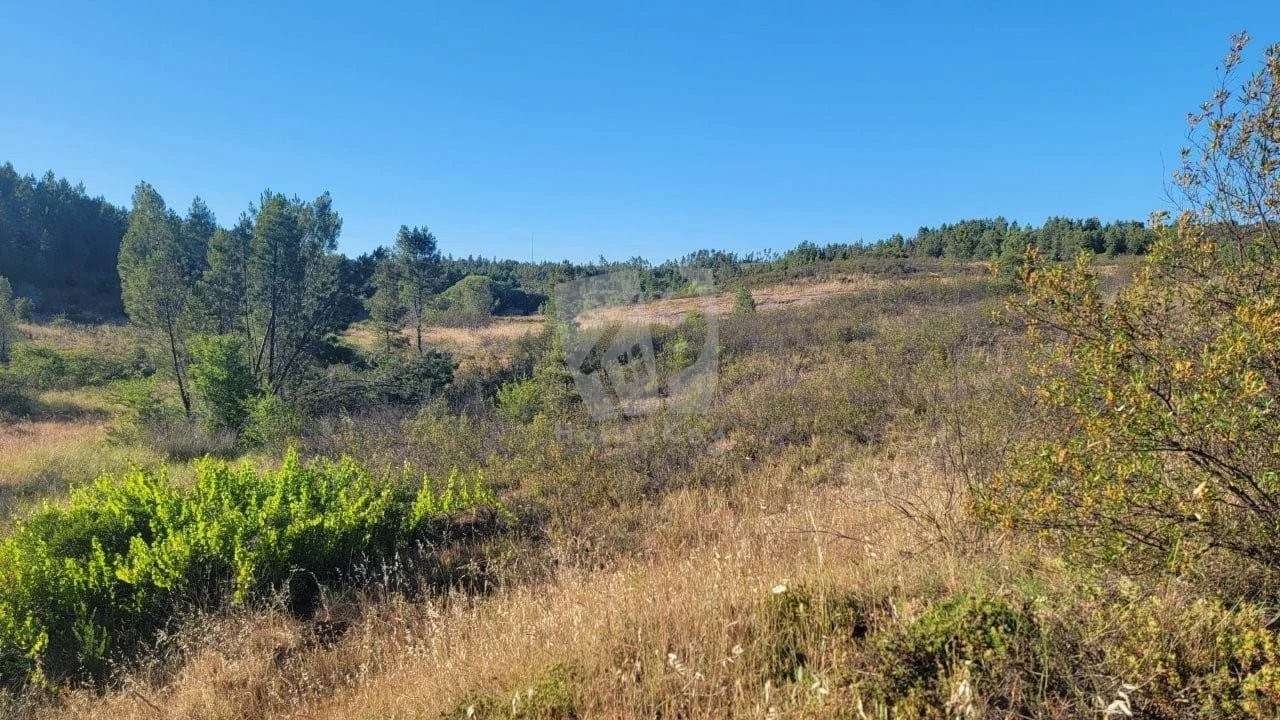 Terreno Agricola ou Rústico para Venda em Sarzedas Foto 32