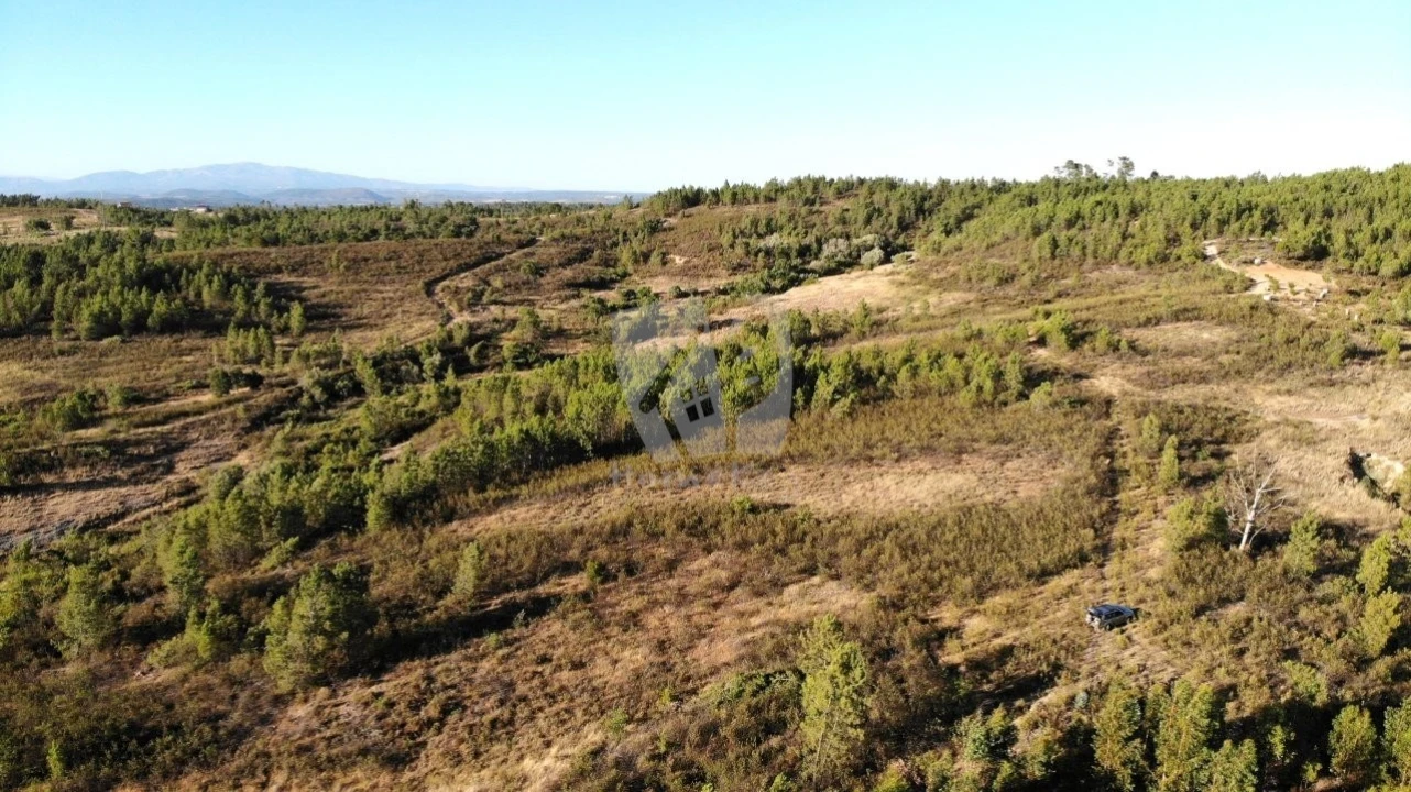 Terreno Agricola ou Rústico para Venda em Sarzedas Foto 6