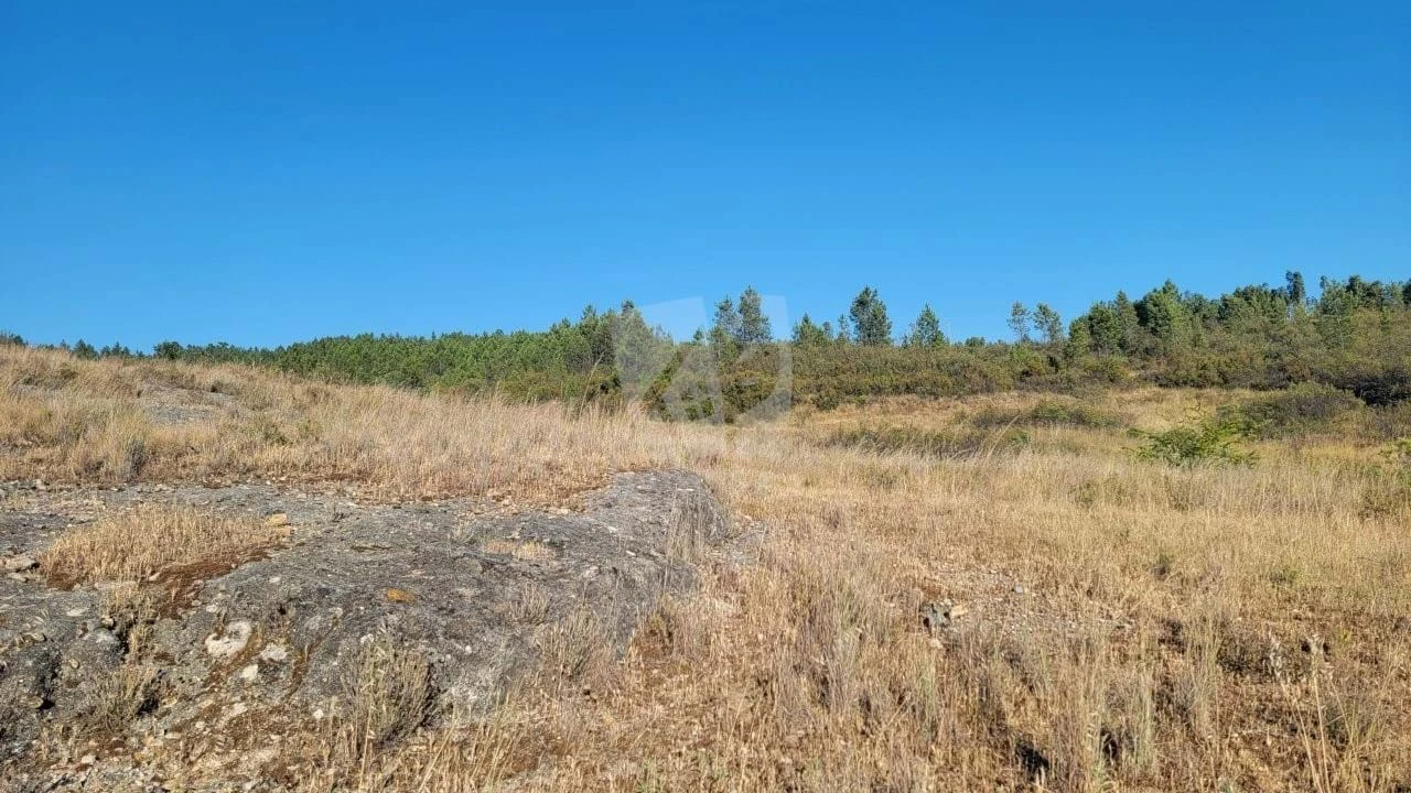 Terreno Agricola ou Rústico para Venda em Sarzedas Foto 27