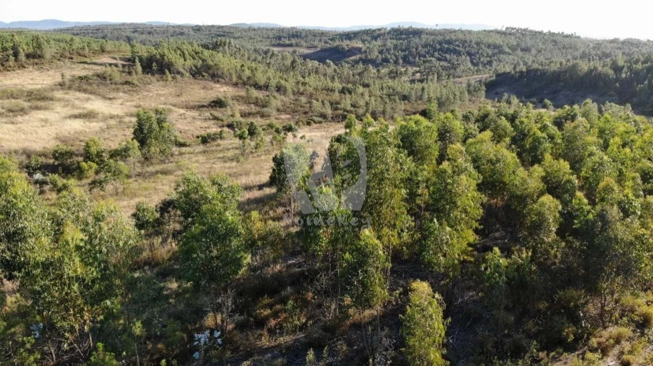 Terreno Agricola ou Rústico para Venda em Sarzedas Foto 2
