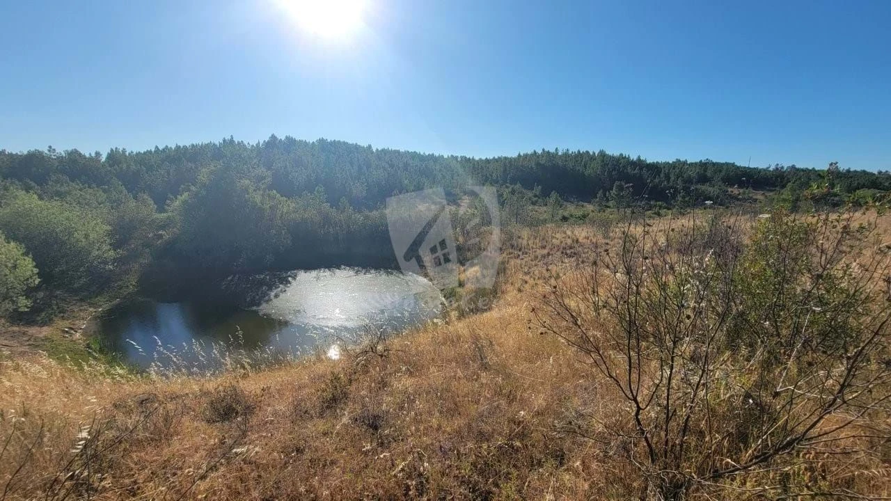 Terreno Agricola ou Rústico para Venda em Sarzedas Foto 14