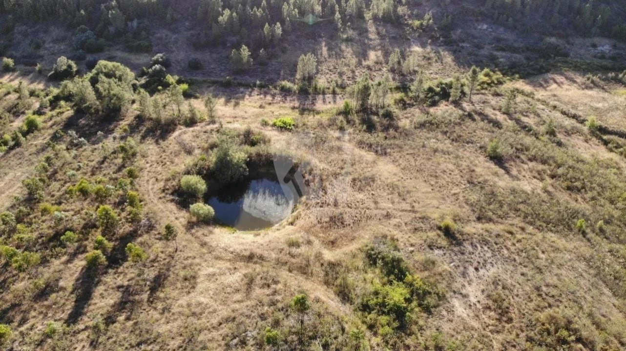 Terreno Agricola ou Rústico para Venda em Sarzedas Foto 5