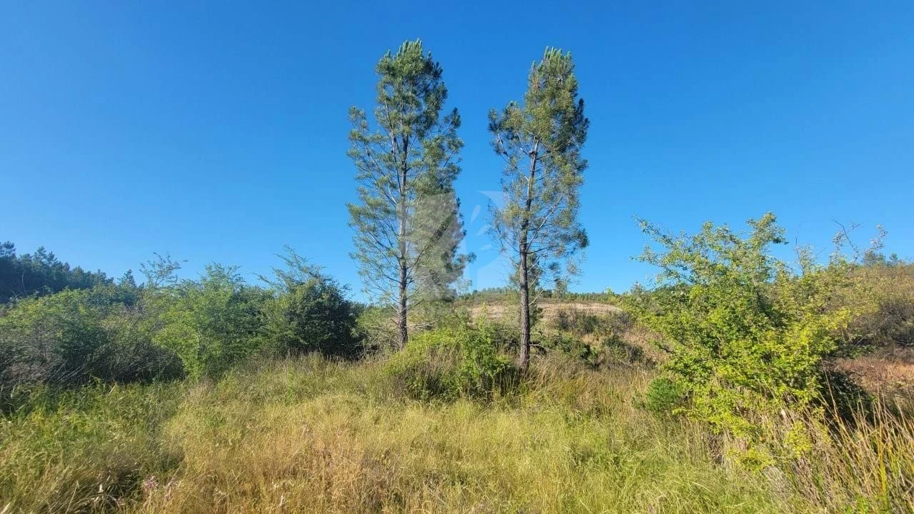 Terreno Agricola ou Rústico para Venda em Sarzedas Foto 25