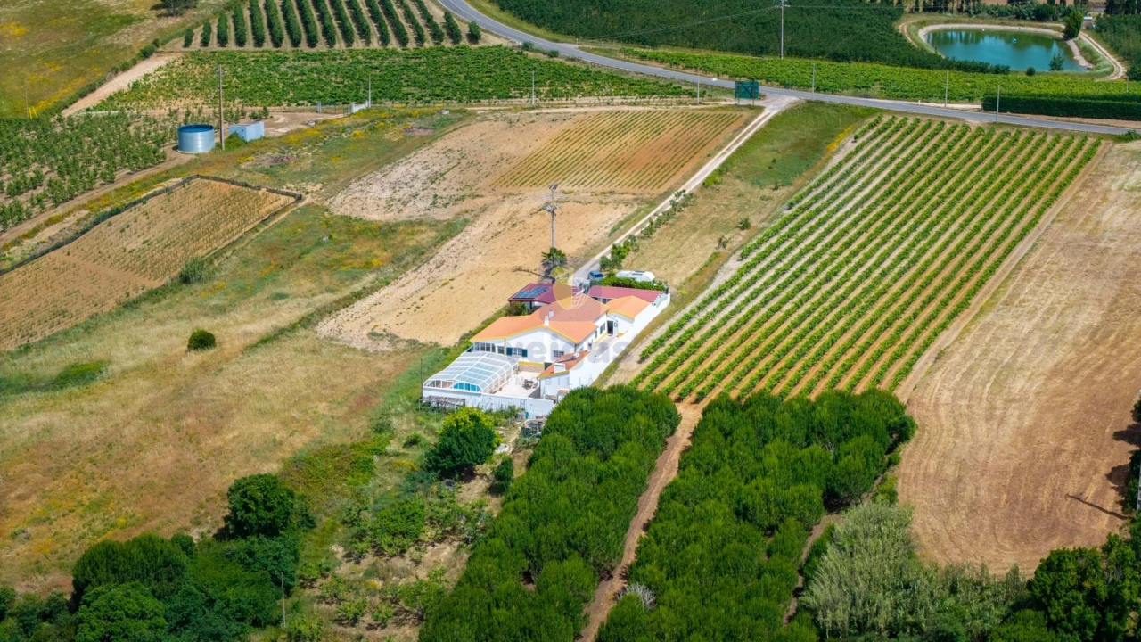 Moradia T3 para Venda em Carvalhal Foto 32