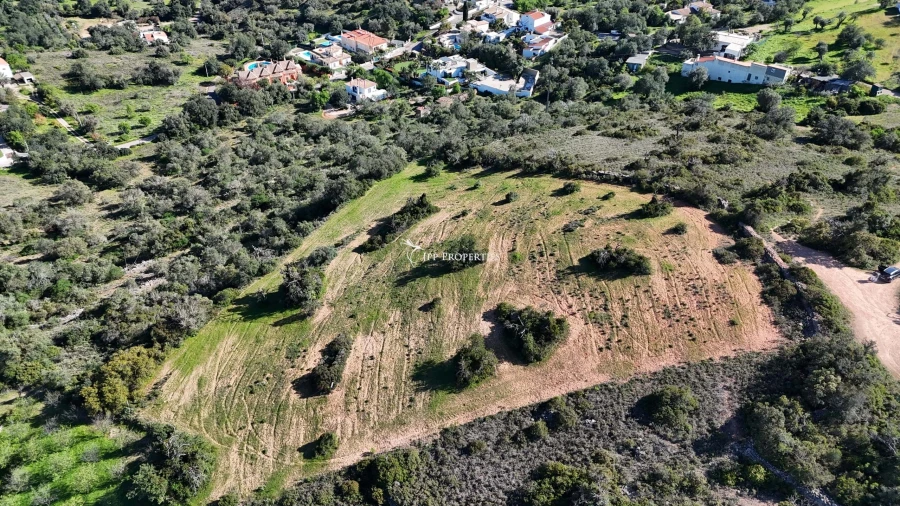 Terreno para Venda em Loule (São Sebastião) Foto 4