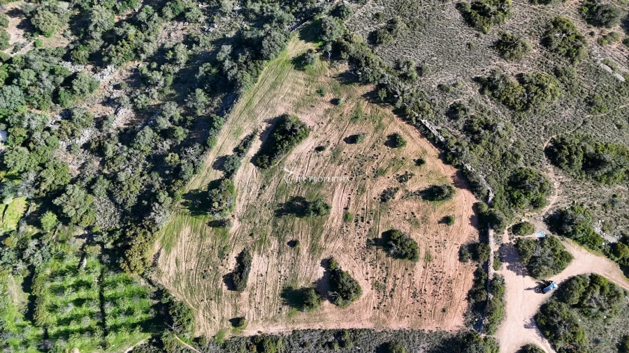 Terreno para Venda em Loule (São Sebastião) Foto 5