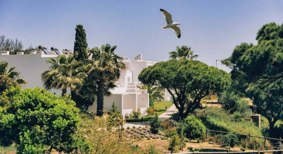 Apartamento T2 para Venda em Albufeira e Olhos de Água Foto 28