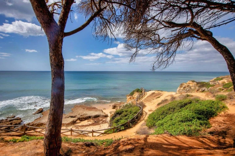 Apartamento T2 para Venda em Albufeira e Olhos de Água Foto 19