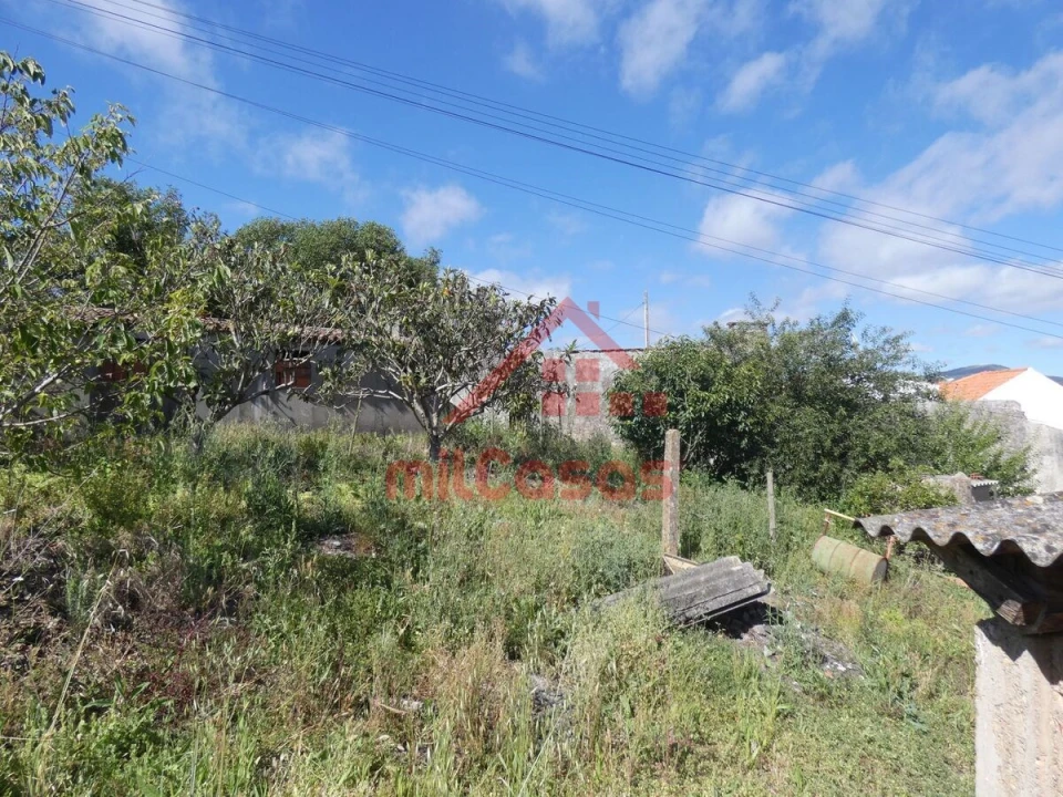 Terreno para Venda em Azueira e Sobral da Abelheira Foto 3