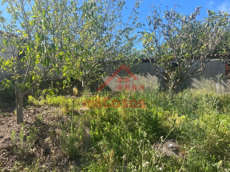 Terreno para Venda em Azueira e Sobral da Abelheira Foto 8