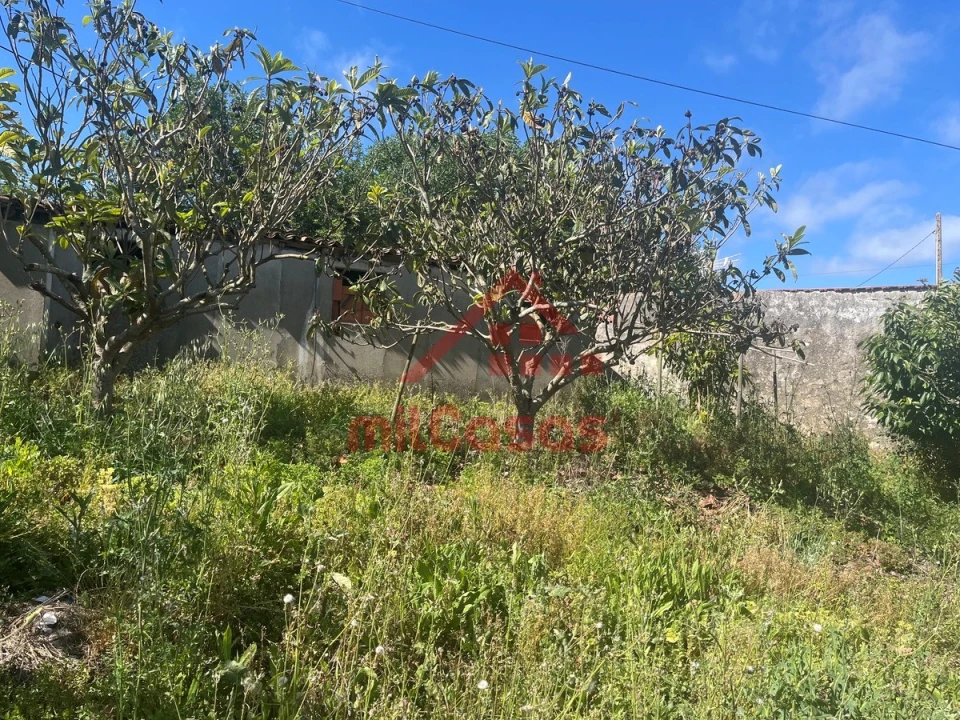 Terreno para Venda em Azueira e Sobral da Abelheira Foto 9