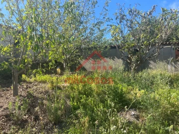 Terreno para Venda em Azueira e Sobral da Abelheira