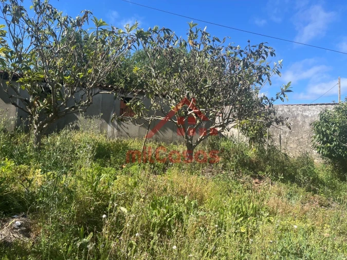 Terreno para Venda em Azueira e Sobral da Abelheira Foto 9
