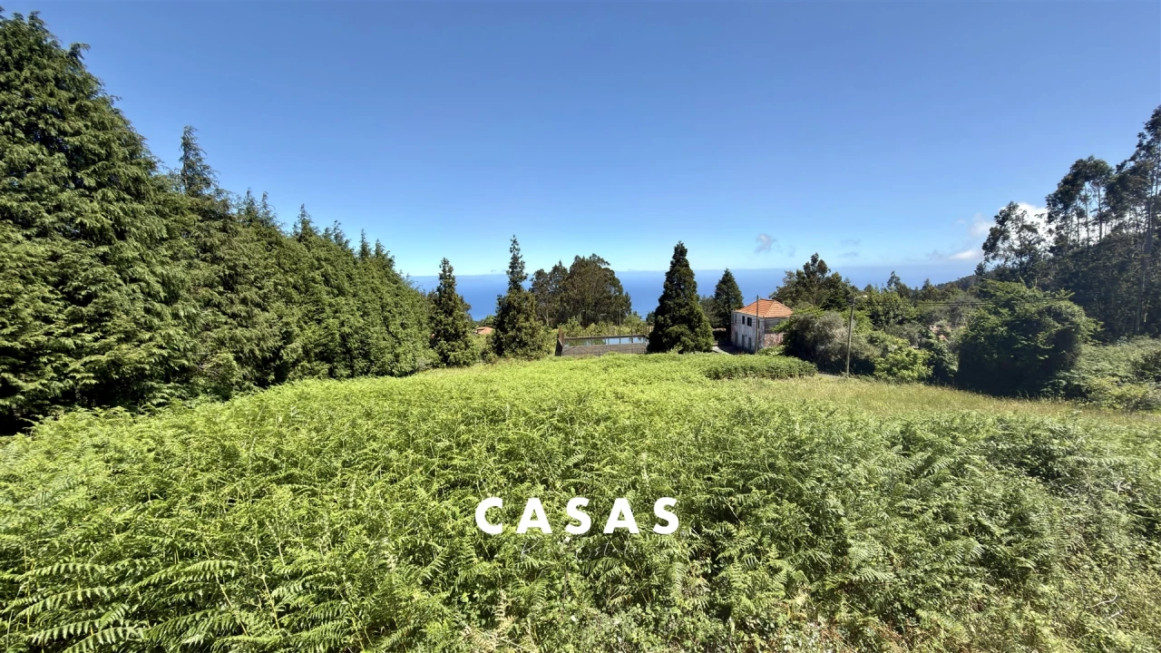Terreno para Venda em Santo Antonio da Serra Foto 12