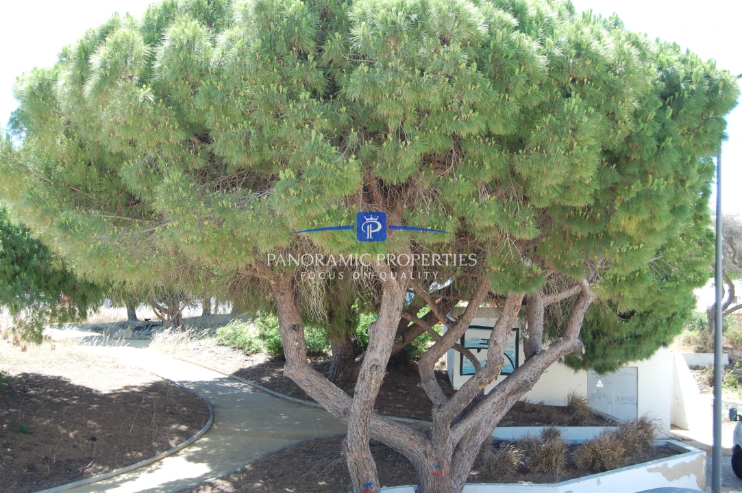 Apartamento T2 para Venda em Lagoa e Carvoeiro Foto 17