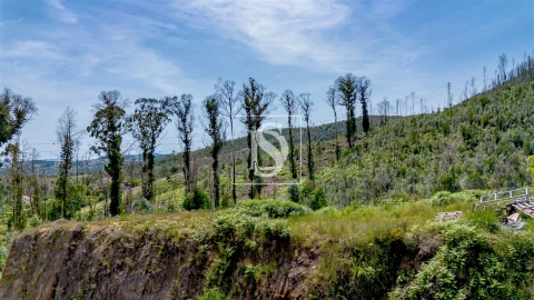 Terreno Comércio / Armazém para Venda em Vila Garcia, Aboim e Chapa