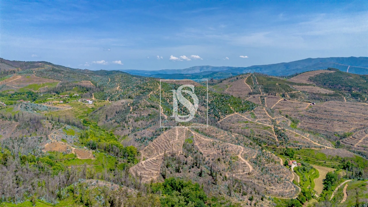 Terreno Comércio / Armazém para Venda em Vila Garcia, Aboim e Chapa Foto 6