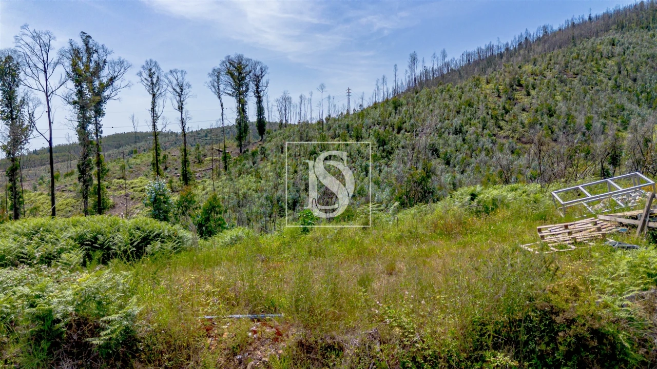 Terreno Comércio / Armazém para Venda em Vila Garcia, Aboim e Chapa Foto 12