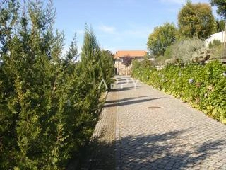 Quinta T6 para Venda em Termas de São Vicente Foto 10