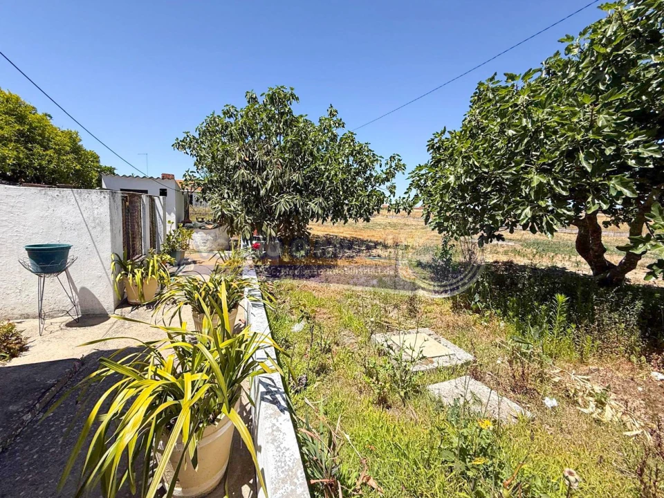 Moradia T2 para Venda em Salvaterra de Magos e Foros de Salvaterra Foto 16