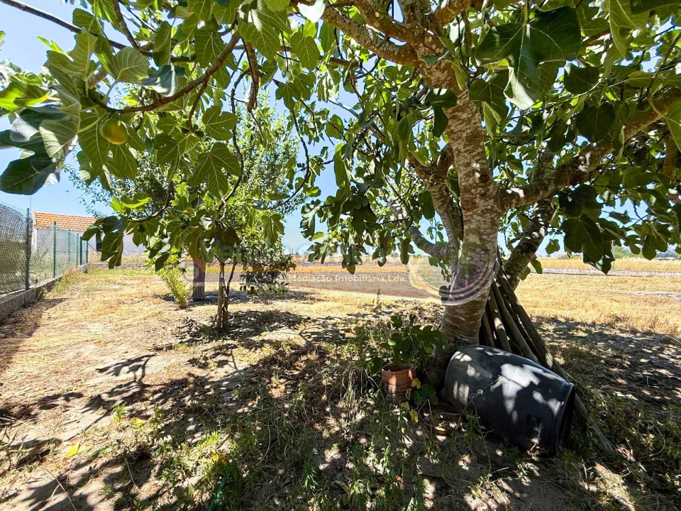 Moradia T2 para Venda em Salvaterra de Magos e Foros de Salvaterra Foto 18