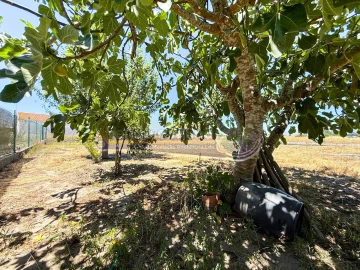 Moradia T2 para Venda em Salvaterra de Magos e Foros de Salvaterra