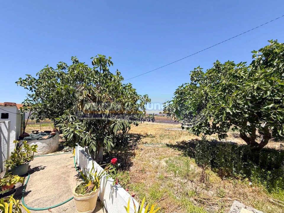 Moradia T2 para Venda em Salvaterra de Magos e Foros de Salvaterra Foto 19