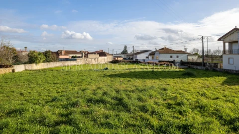 Terreno para Venda em Murtosa