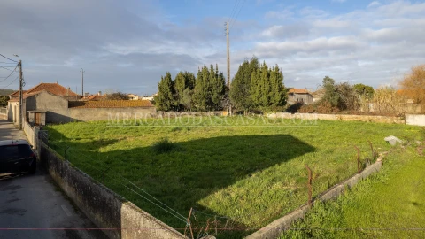 Terreno para Venda em Murtosa