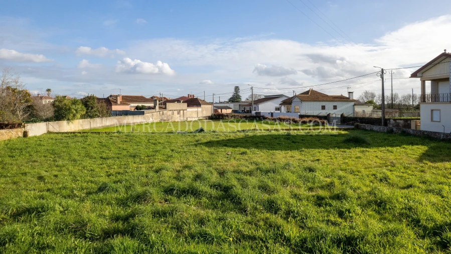 Terreno para Venda em Murtosa Foto 4