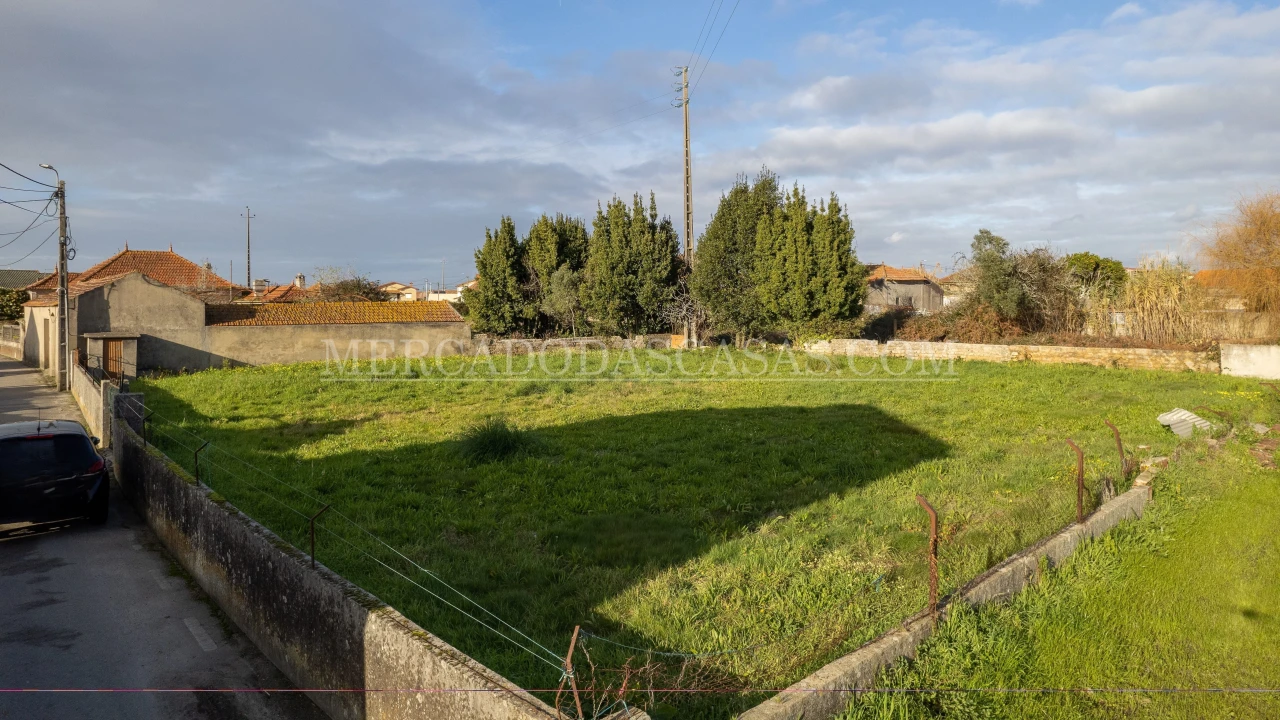 Terreno para Venda em Murtosa Foto 3