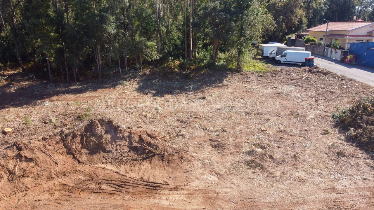 Terreno para Venda em Santa Maria da Feira, Travanca, Sanfins e Espargo Foto 3