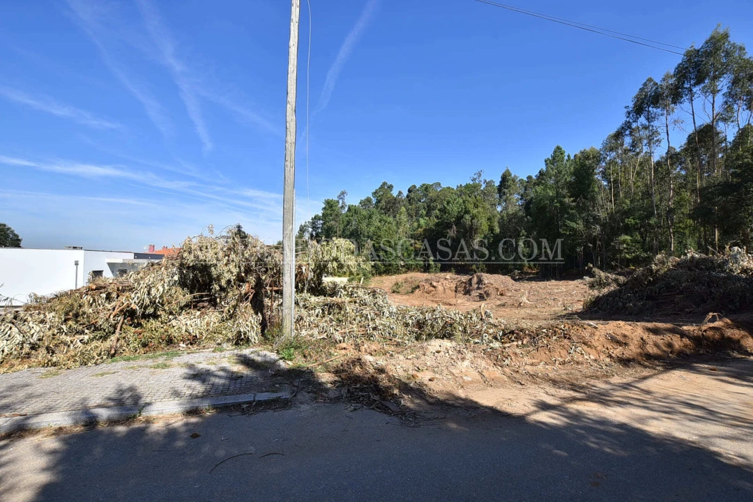 Terreno para Venda em Santa Maria da Feira, Travanca, Sanfins e Espargo Foto 10
