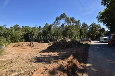 Terreno para Venda em Santa Maria da Feira, Travanca, Sanfins e Espargo