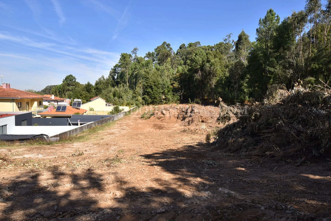 Terreno para Venda em Santa Maria da Feira, Travanca, Sanfins e Espargo Foto 6