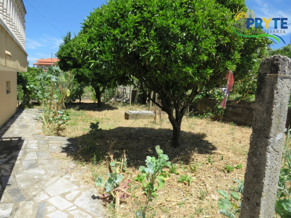 Moradia T3 para Venda em Sertã Foto 51